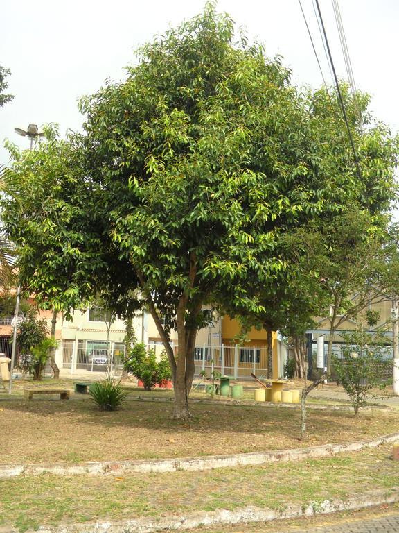 וולטה רדונדה Pousada Familiar Vilage Bed & Breakfast Homestay מראה חיצוני תמונה